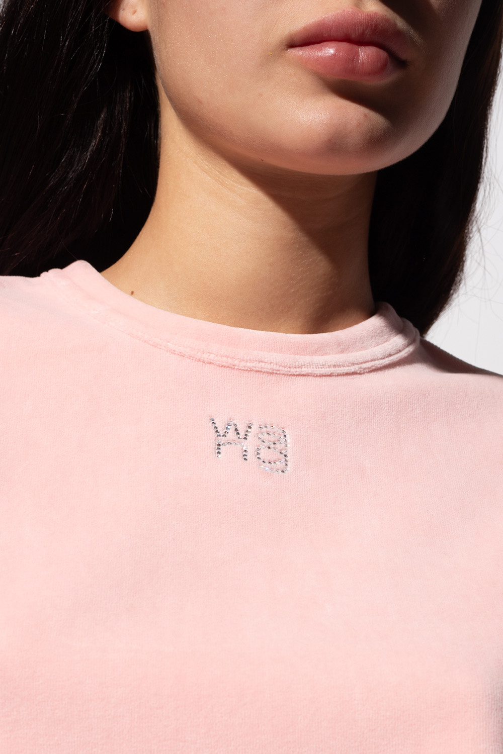 shirt with logo T by Alexander Wang - SchaferandweinerShops Australia -  Gorgeous Pink Hoodie - Velvet T